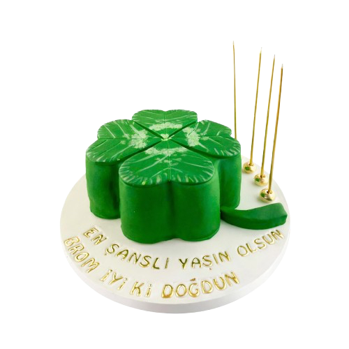 Şans Yocası Doğum Günü Pastası