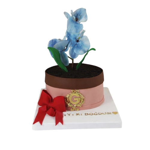 Orkide Saksı Doğum Günü Pastası