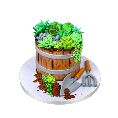 Sukulent Tasarımlı Doğum Günü Pastası