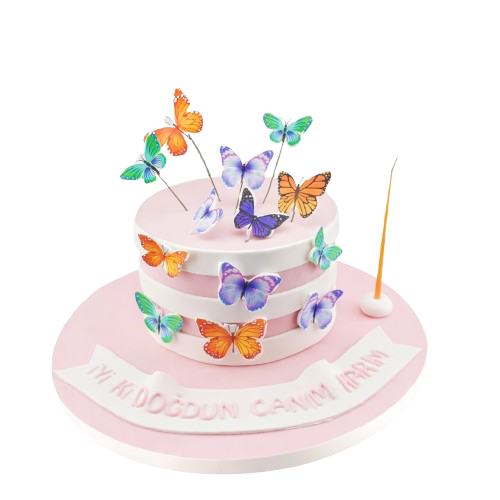 Kelebek Temalı Doğum Günü Pastası