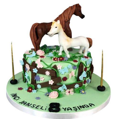At Çiftliği Doğum Günü Pastası