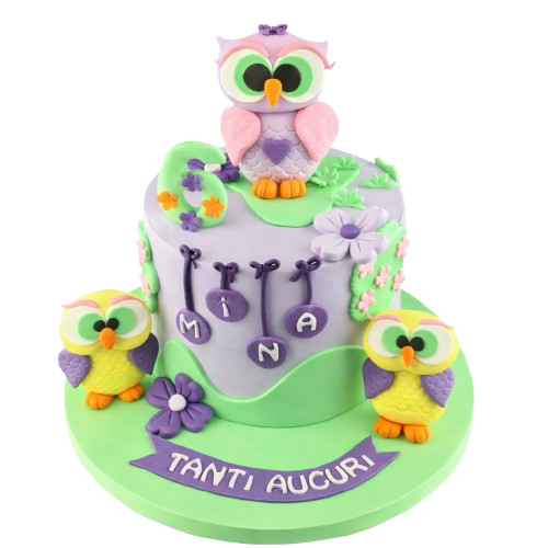 İsimli Baykuş Doğum Günü Pastası