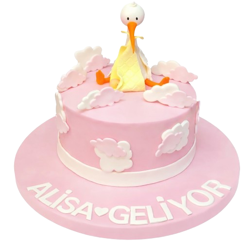 Hoşgeldin Bebek Kız Bebek Pastası