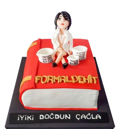 Kimya Mühendisi Pastası