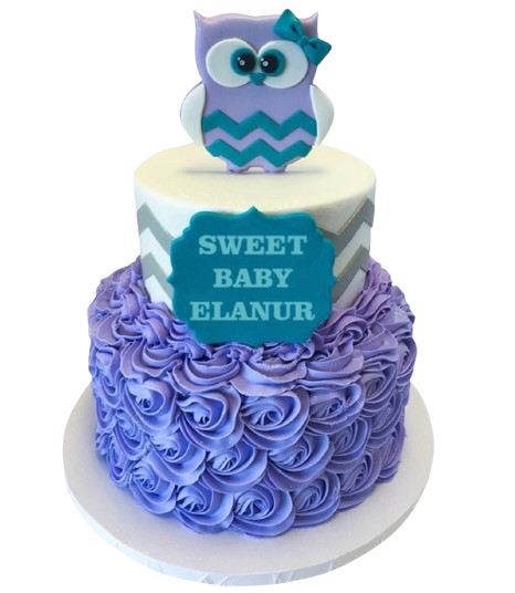 Sweet Baby Baykuşlu Doğum Günü Pastası